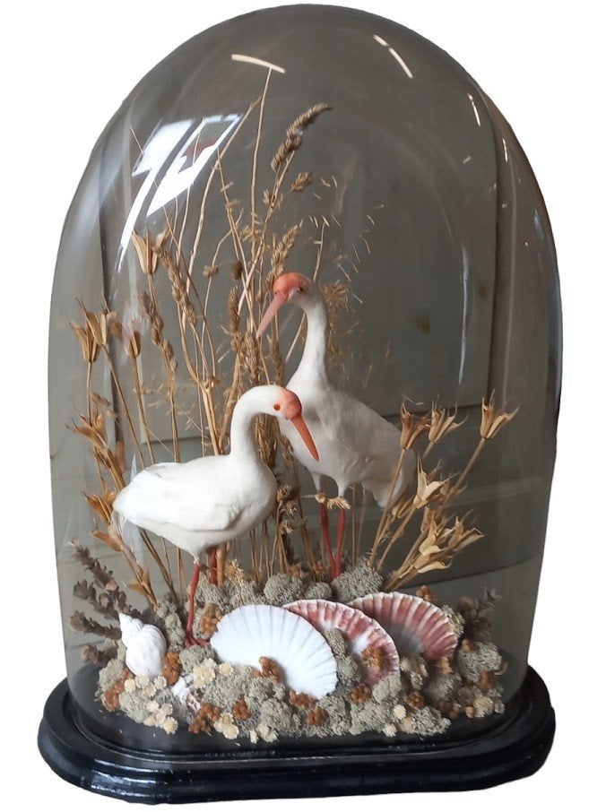 rare grosse cloche avec décoration, Enlèvement