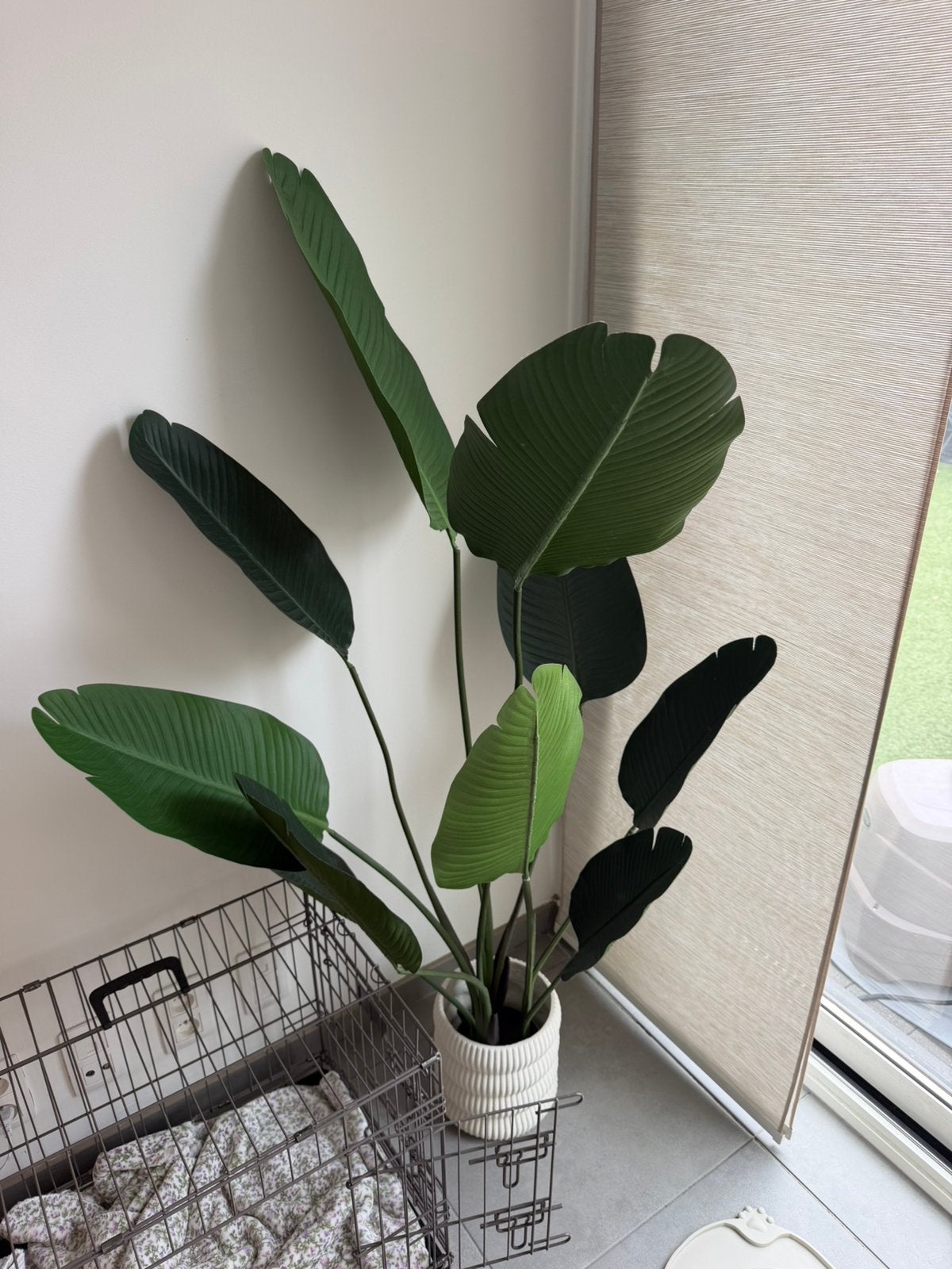Kunstplant Strelitzia, Maison & Meubles, Enlèvement