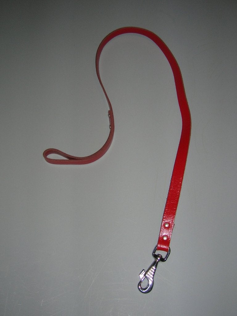 Hondenleiband (rood), Dieren en Toebehoren, Hondenriemen, Ophalen, Zo goed als nieuw, Hondenriem
