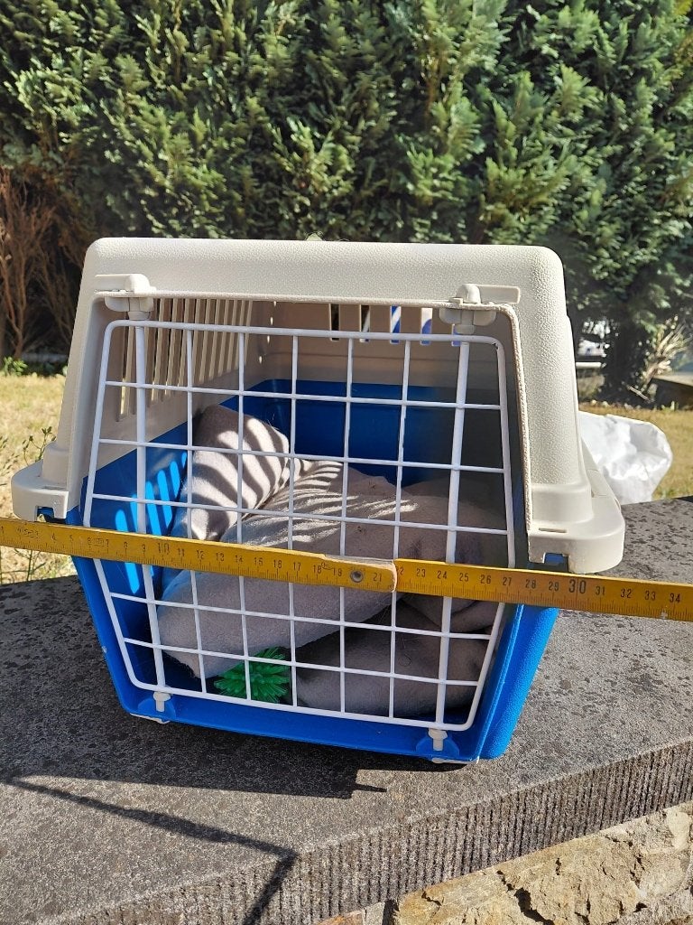Cage de transport pour chat, Animaux & Accessoires, Enlèvement, Comme neuf