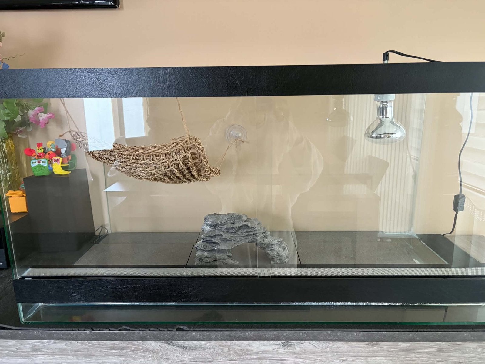 Terrarium, Enlèvement, Comme neuf