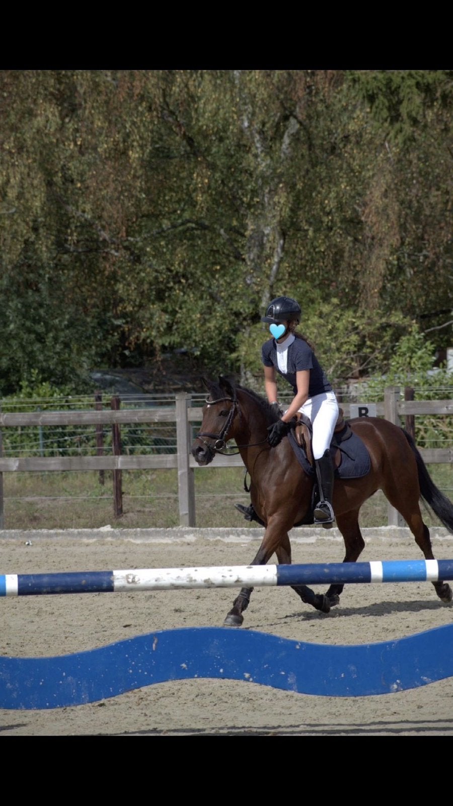 Te koop: ervaren New Forest sport pony, Dieren en Toebehoren, Springpaard, Minder dan 160 cm, Met stamboom, Ruin