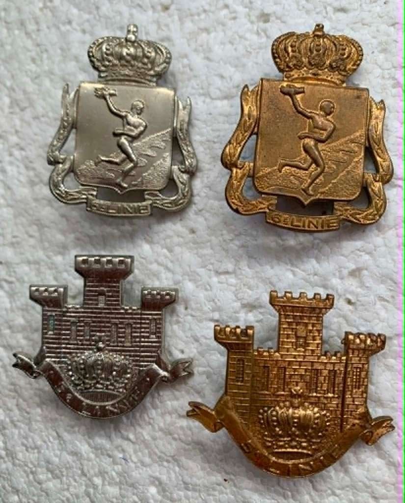 Kenteken, 5de LINIE + 6de LINIE mutskentek, Zilver+Goud, Verzamelen, Militaria | Algemeen, Landmacht, Embleem of Badge, Ophalen of Verzenden
