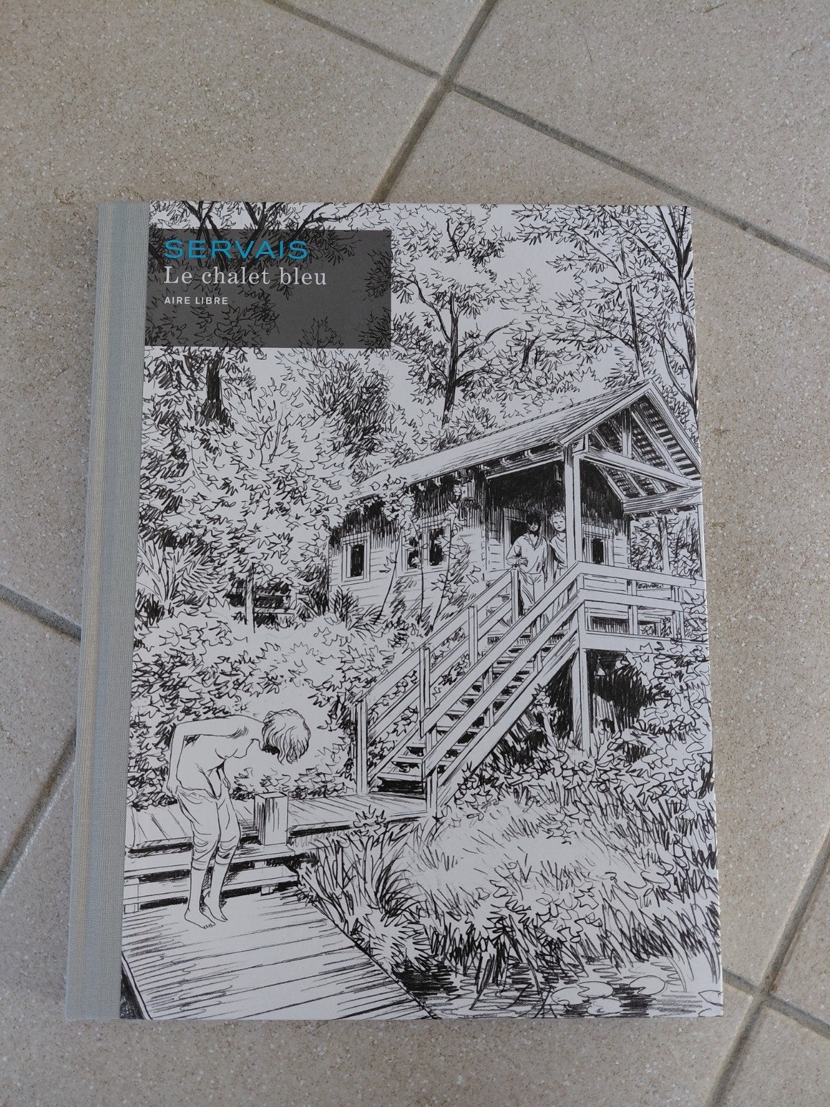 Jean-Claude Servais - Le chalet bleu n/b, Enlèvement