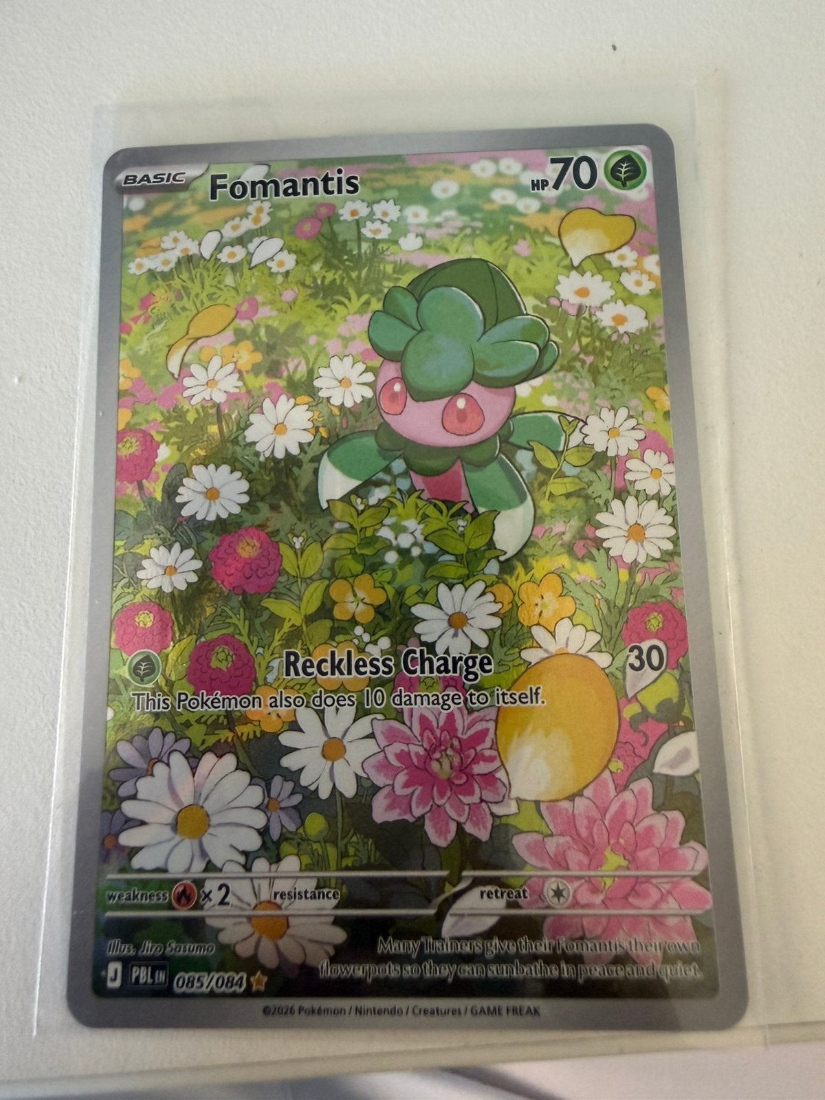 Fomantis 85 pitch black 2026, Ophalen, Nieuw, Losse kaart
