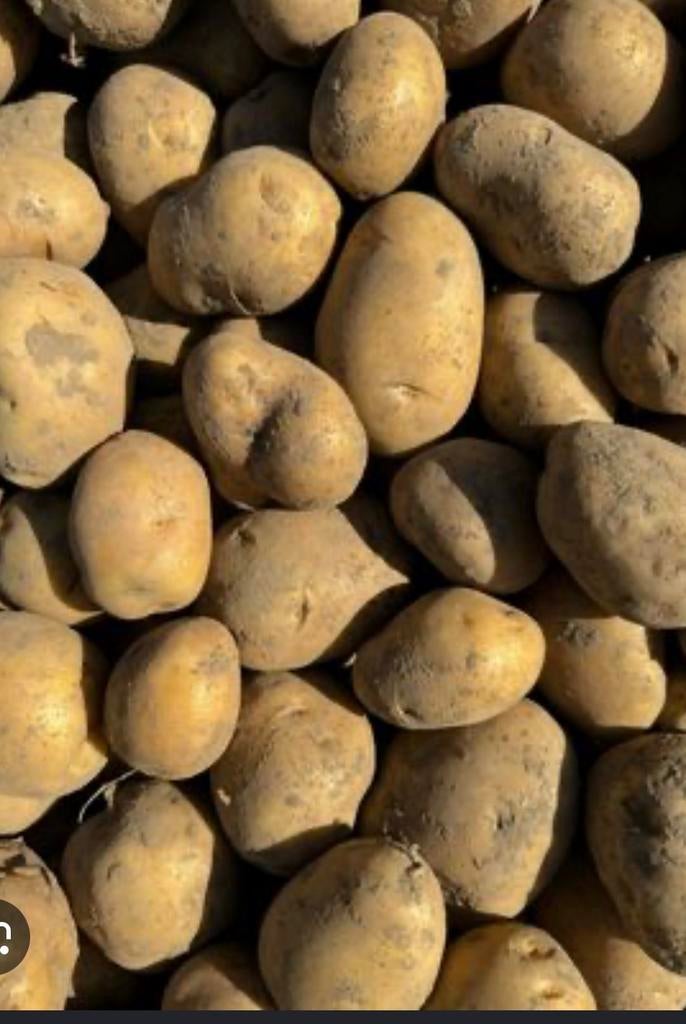 aardappelen tekoop ter voordelen voor vzw, Ophalen