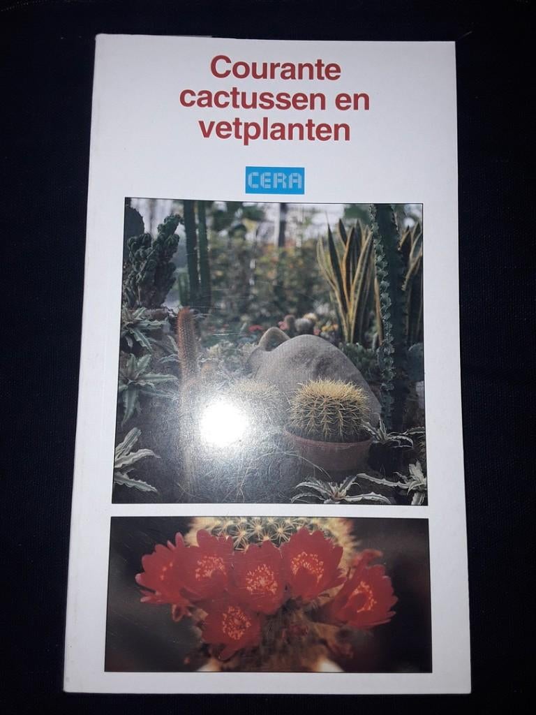 Courante cactussen en vetplanten Cera, Boeken, Ophalen of Verzenden, Zo goed als nieuw
