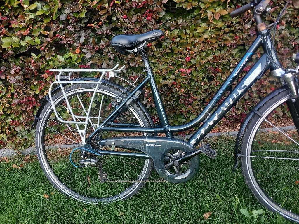 batavus , in nieuwstaat, Ophalen, Velgrem, 47 tot 50 cm, Versnellingen