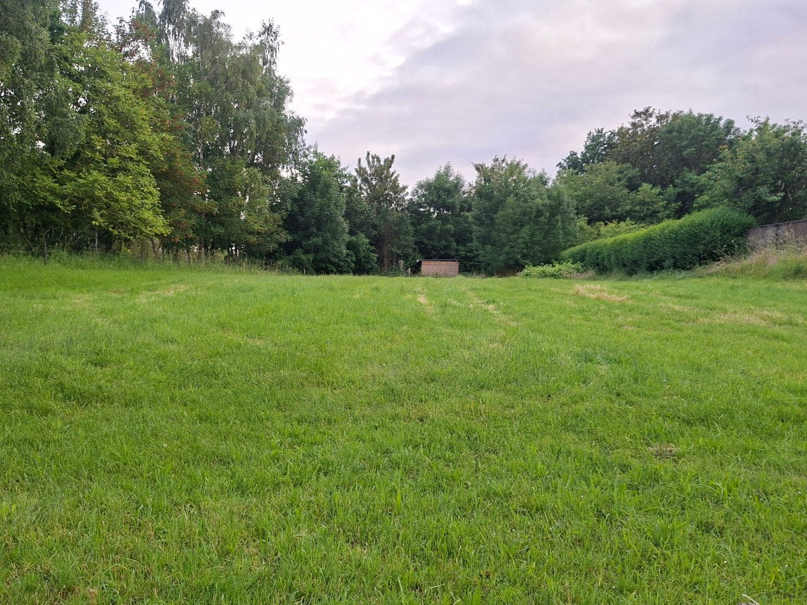 Ik zoek een stuk gras lant voor hooi vant maken  in overijse