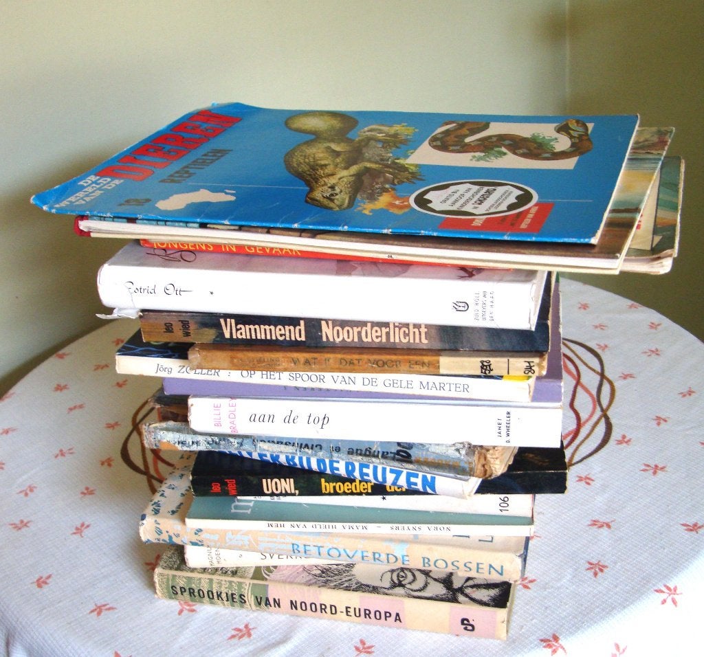 Nederlandstalige jeugdboeken - heel goede staat, Ophalen of Verzenden, Zo goed als nieuw, Diverse Auteurs, Non-fictie