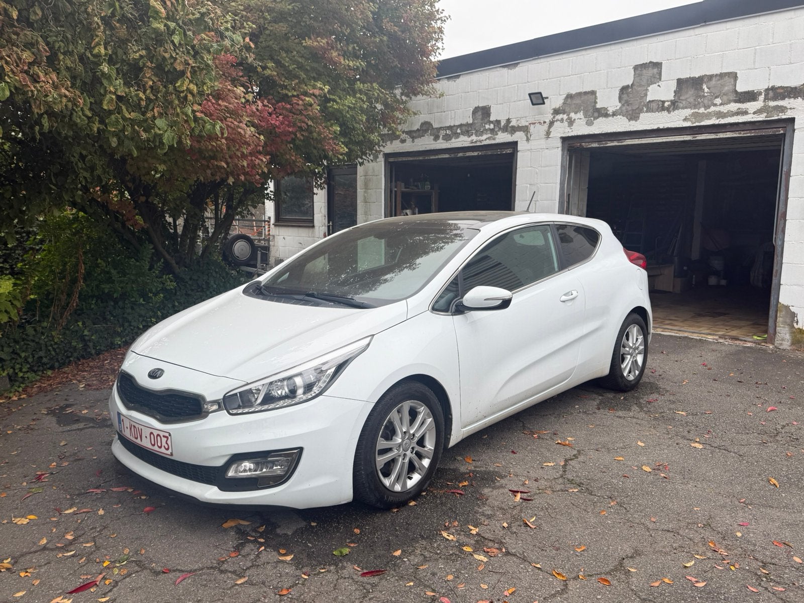 Kia Proceed, Autos, Achat, 135 g/km, Boîte manuelle, 1200 kg