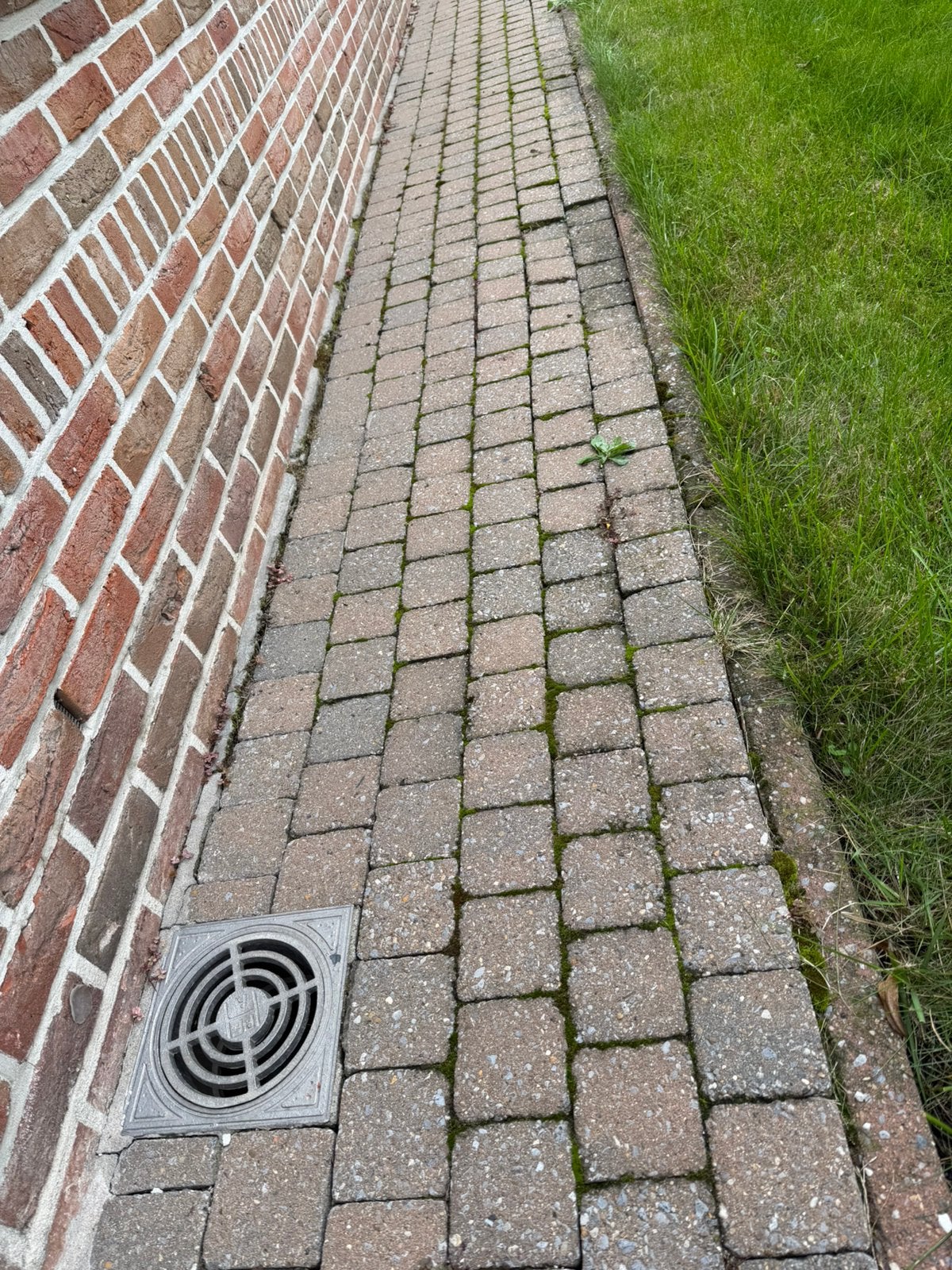 Roze en antraciet trommel klinkers gratis, Tuin en Terras, Ophalen, Gebruikt, Klinkers