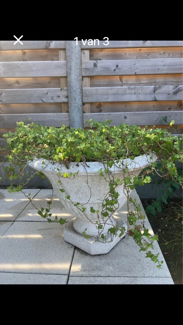 Mooie grote plantenbak betonlook 46cm hoog incl.planten, Tuin en Terras, Ophalen