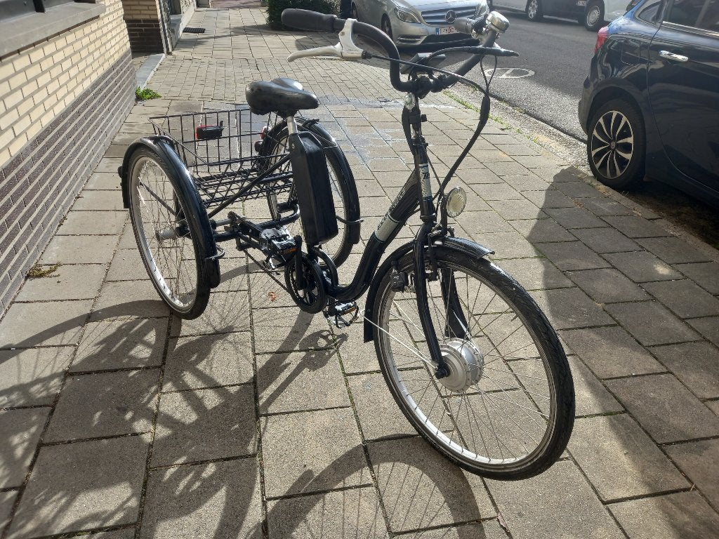 Driewieler, Ophalen, Gebruikt, Ecotrike