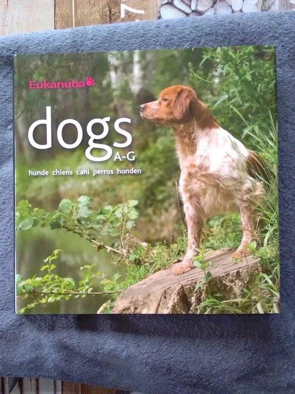 "Dogs A-G hunde chiens cani perros honden" Eukanuba (2009), Enlèvement ou Envoi, Comme neuf, Collectif, Chiens