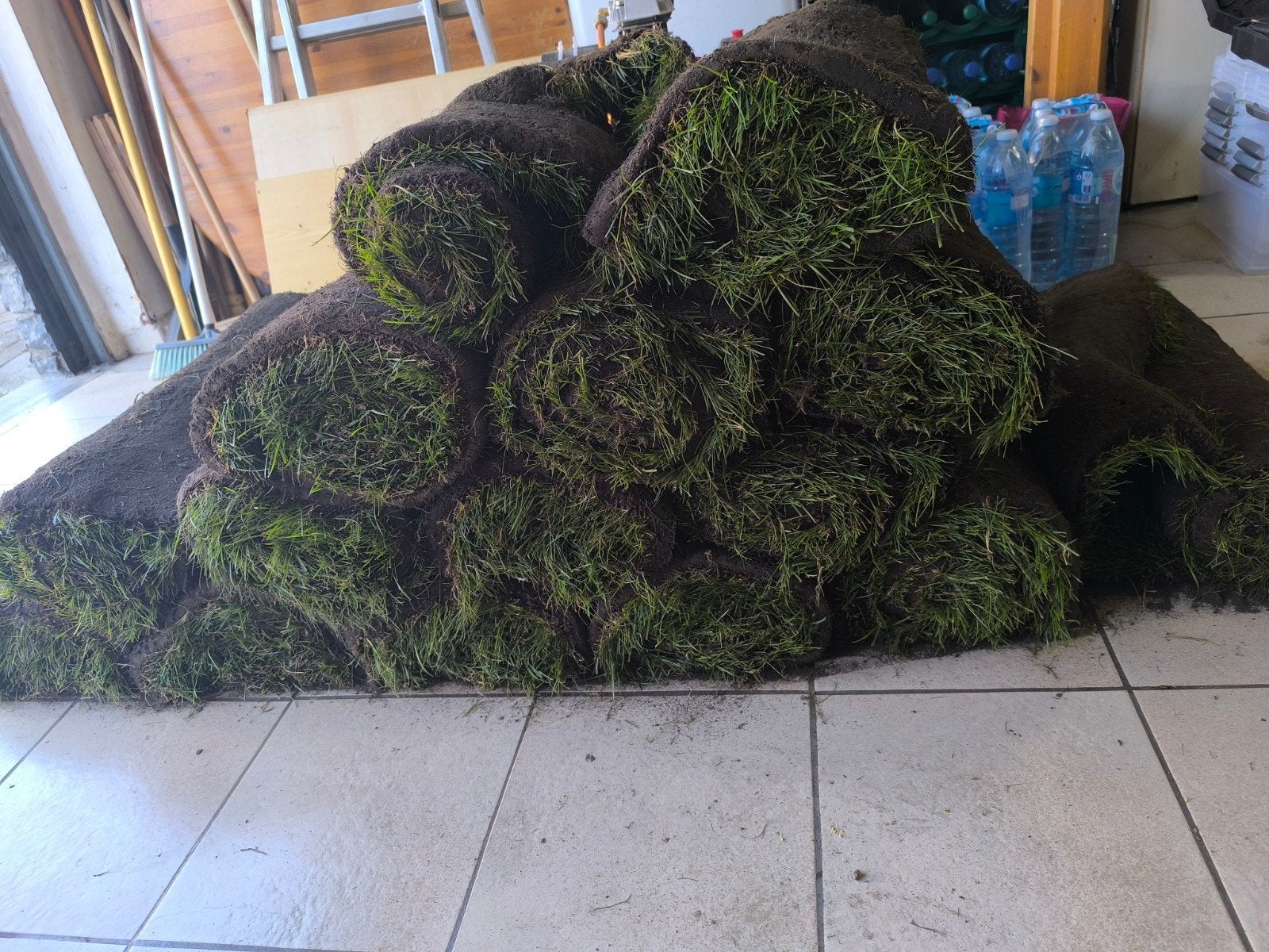 Rouleau de gazon frais, Enlèvement, Neuf, 10 à 20 m², Herbe
