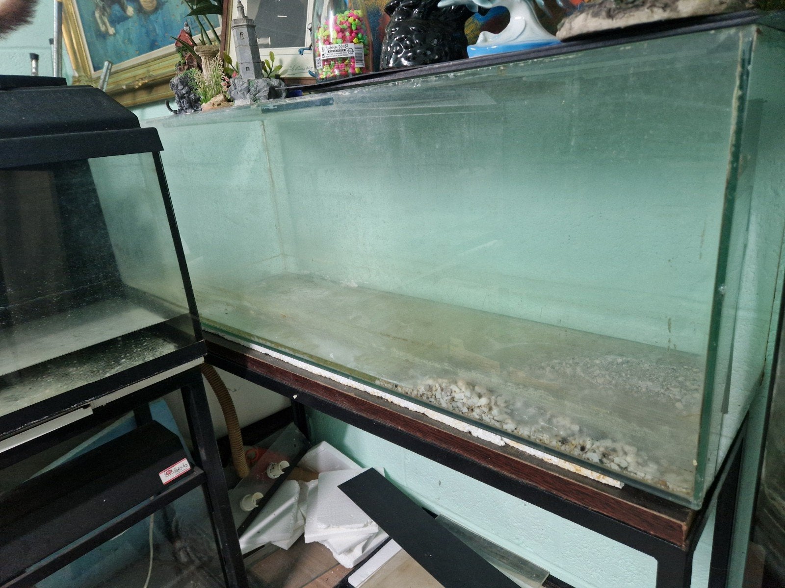 aquarium gratis, Enlèvement