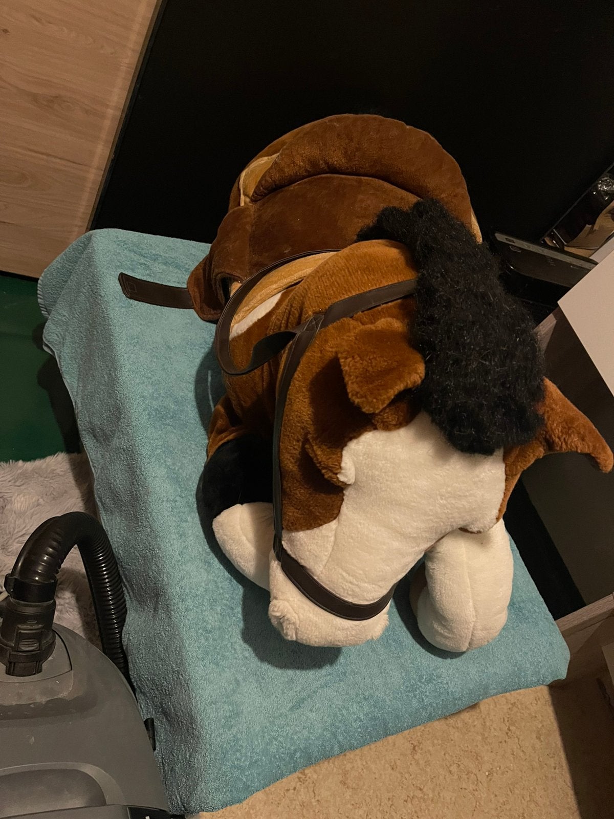 Geoot Beren paard, Ophalen, Paard, Zo goed als nieuw, Bruin