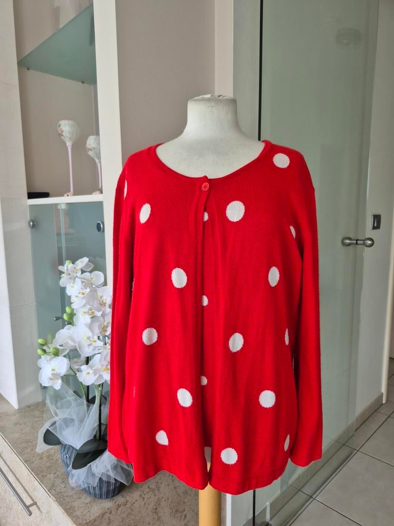 Twinset, Kleding | Dames, Truien en Vesten, Verzenden