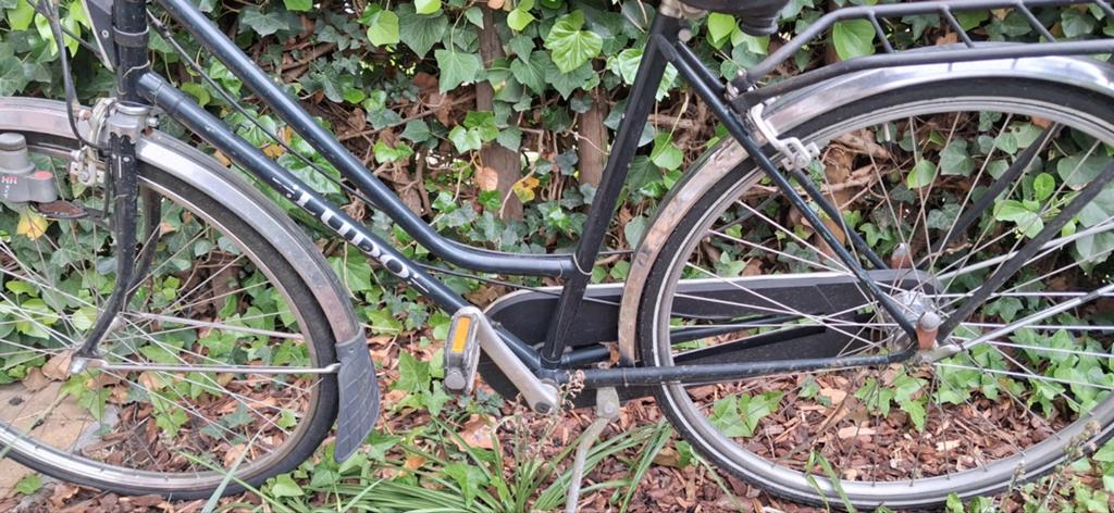 Damesfiets, Enlèvement