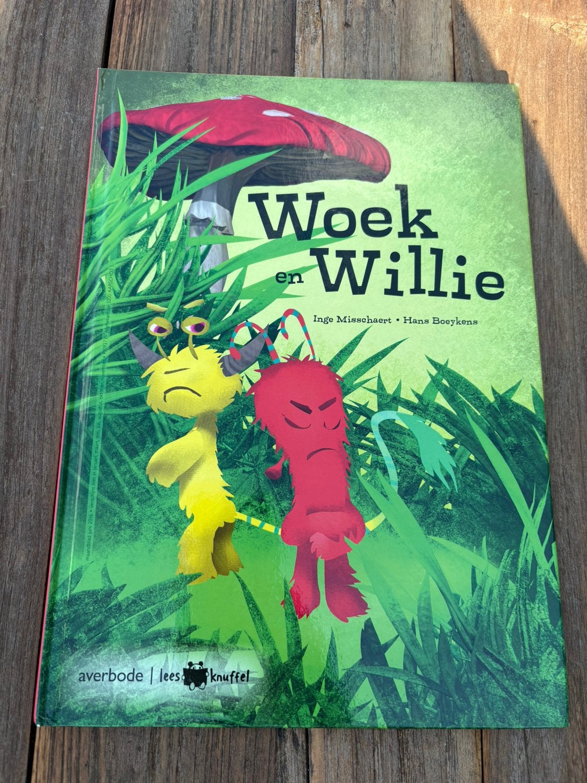 Leesboek - Woek en Willie, Boeken, Ophalen, Zo goed als nieuw