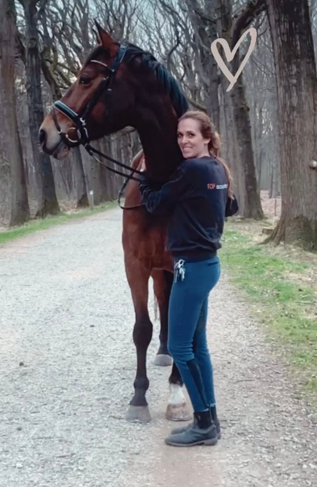 Te koop 11 jarige BWP merrie, Jument