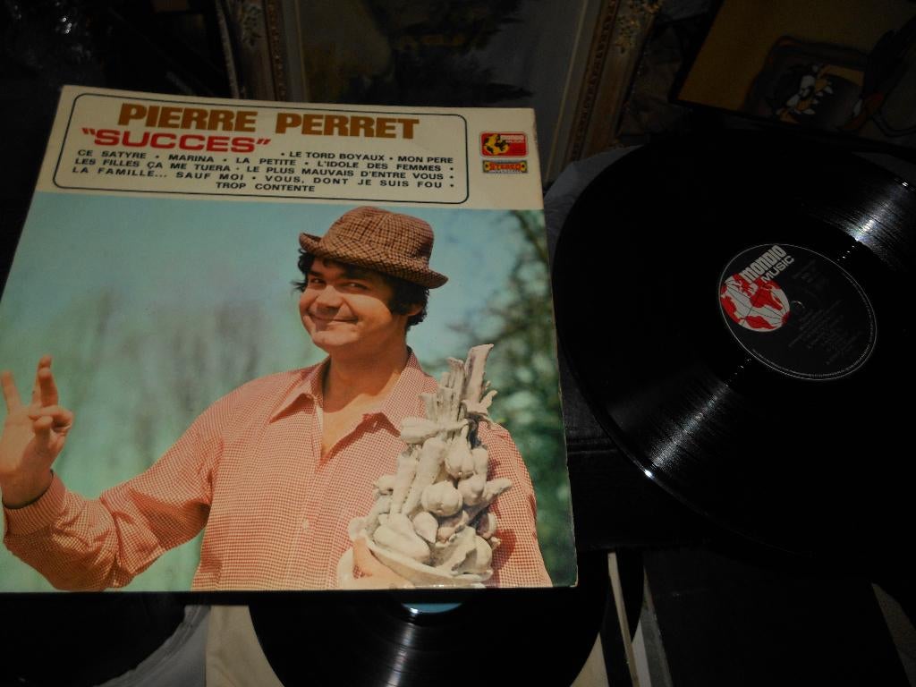33T Pierre Perret " Succès", CD & DVD, Enlèvement ou Envoi