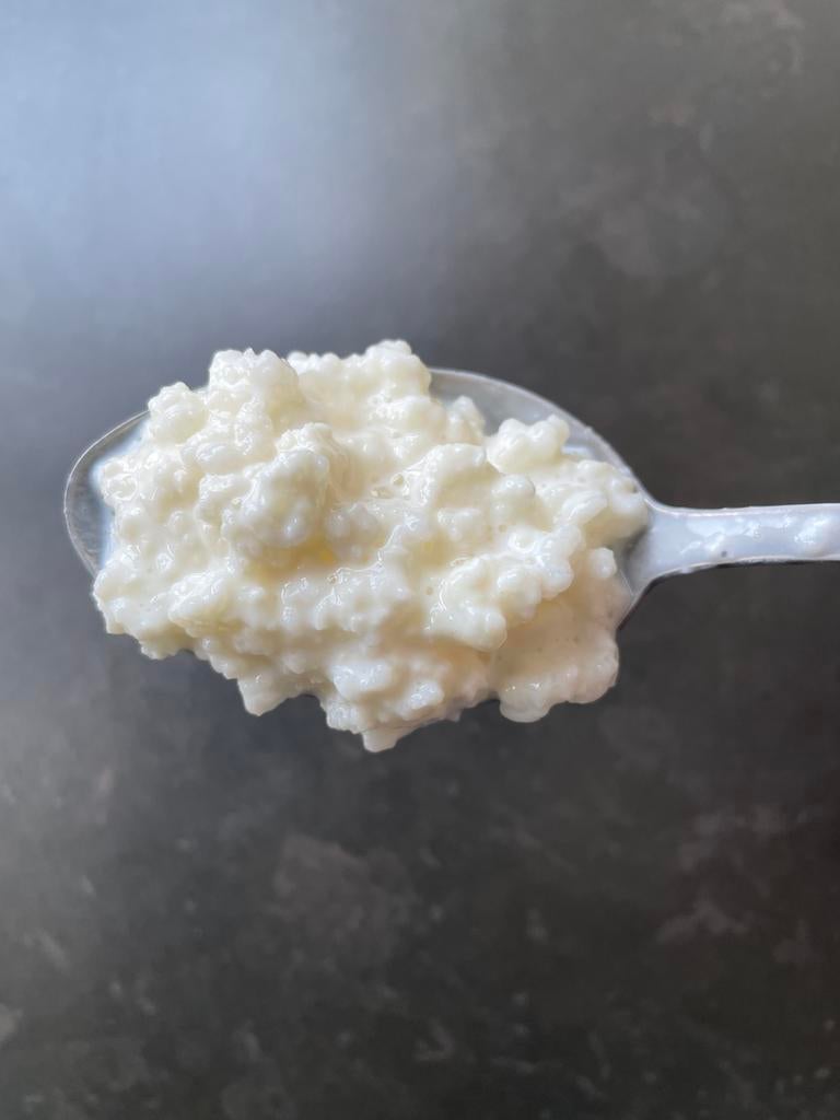 Kefir, Diversen, Levensmiddelen, Ophalen