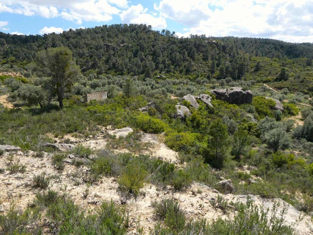 Finca in Maella (Aragón, Spanje) - 1059, Immo, 32 m², Overige soorten, Spanje, Landelijk