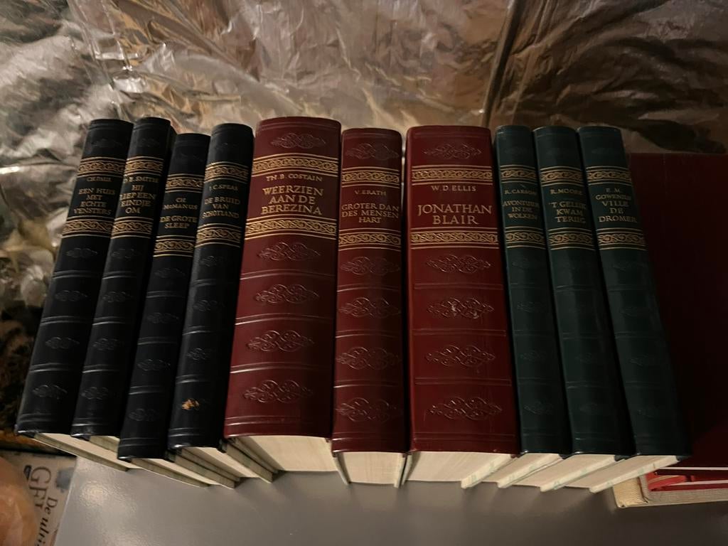 10 boeken uitgegeven bij Jan  Van Tuyl Zandbommel Antwerpen, Ophalen of Verzenden, Gelezen