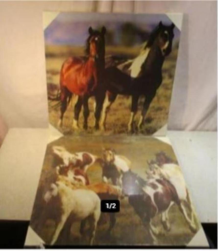 3 Fotos van Paarden op Canvasdoek - NIEUW - 50x50, Ophalen of Verzenden, Nieuw, Dier, Foto