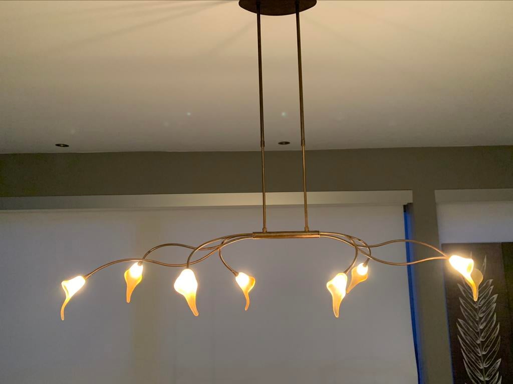 Unieke luster, Huis en Inrichting, Lampen | Hanglampen, Ophalen, Zo goed als nieuw