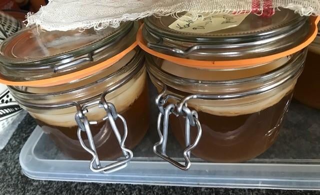 Kombucha met startervloeistof te Huldenberg, Enlèvement