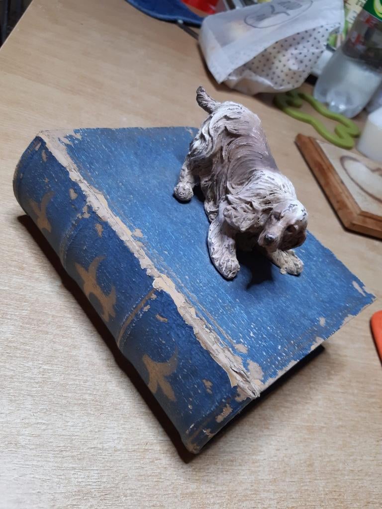 Boîte imitant un ancien livre avec effigie de chien, Ophalen of Verzenden, Doos