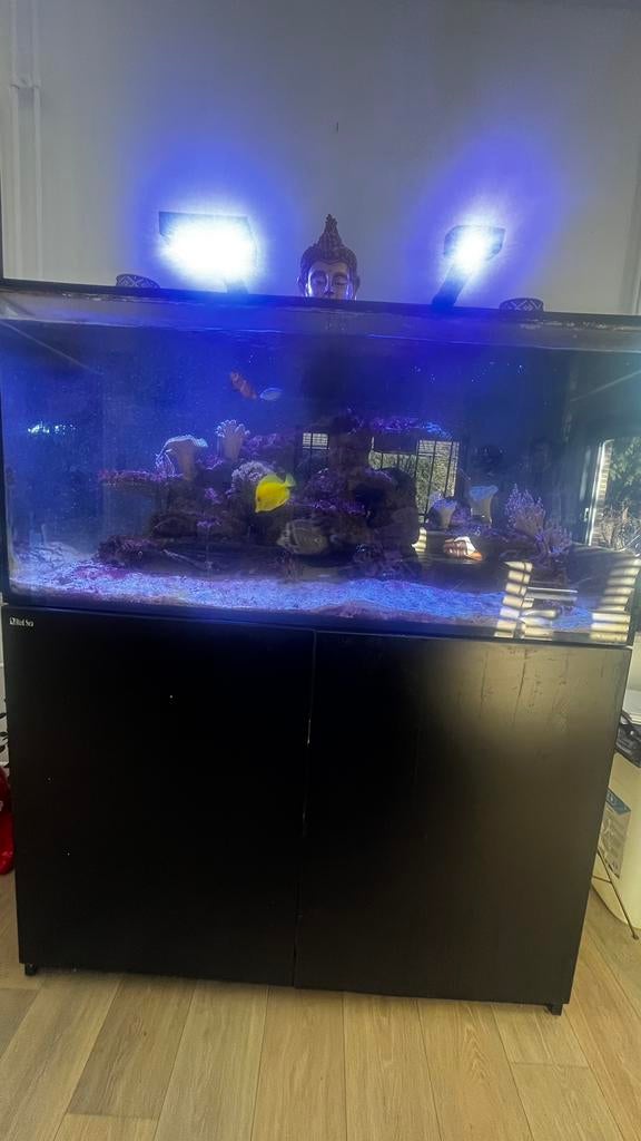 Technisch zee aquarium, Poisson, Poisson d'eau douce