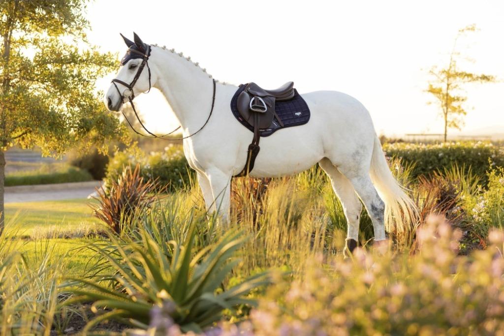 LeMieux Loire Navy Spring CC dekje GRATIS VERZENDING, Ophalen of Verzenden, Nieuw