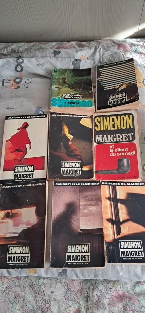 Simenon/Maigret, Boeken, Ophalen of Verzenden