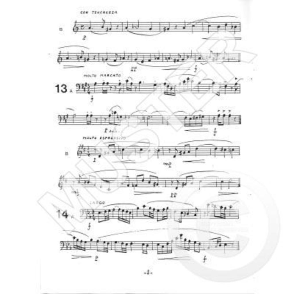 Inleiding tot het atonaal zingen 3e deel Cabus, Muziek en Instrumenten, Ophalen, Klassiek, Zang, Zo goed als nieuw