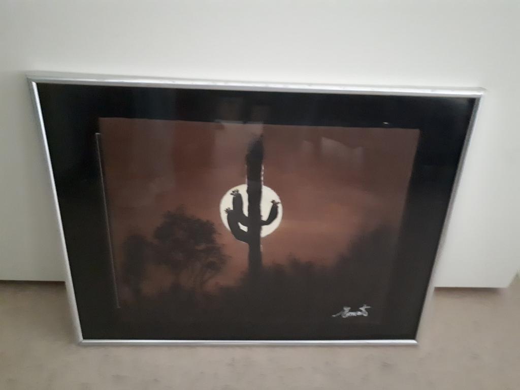 Kunstwerk  cactus in Arizona desert., Ophalen of Verzenden
