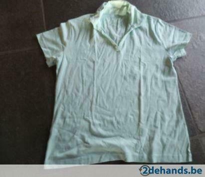 [3640]t-shirt biaggini XXL, Kleding | Dames, Ophalen of Verzenden, Gedragen, Maat 46/48 (XL) of groter, Korte mouw