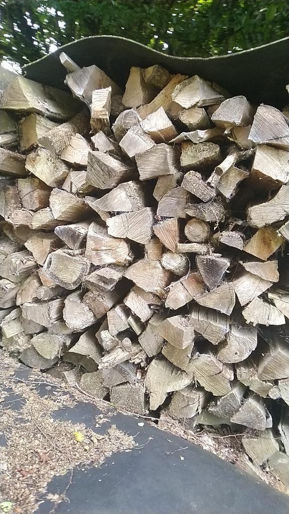 Zeer droog brandhout, Ophalen, Beukenhout, Blokken