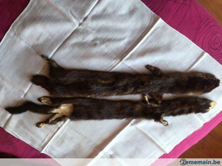 deux fourrures de  vison brun  juste tanné, Ophalen of Verzenden, Nieuw, Bruin