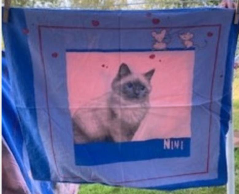 Parure de lit housse de couette + taie 1 pers. chat bleu, Garçon ou Fille, Enlèvement ou Envoi, Housse de couette, Utilisé