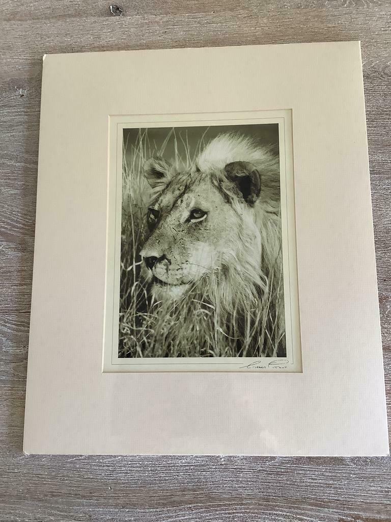 Originele print fotografie van Gerrit Pitout, Ophalen