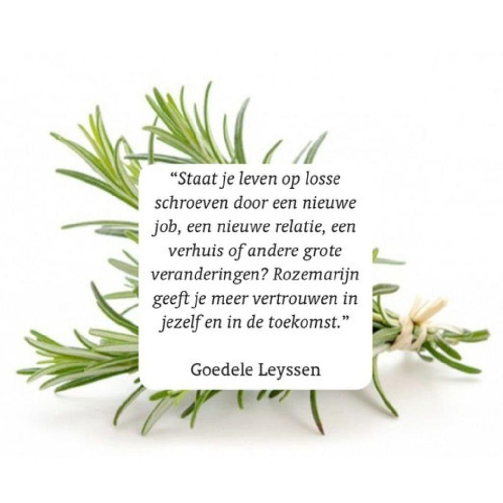 RainPharma room spray rosemary 50ml, Ophalen of Verzenden, Nieuw