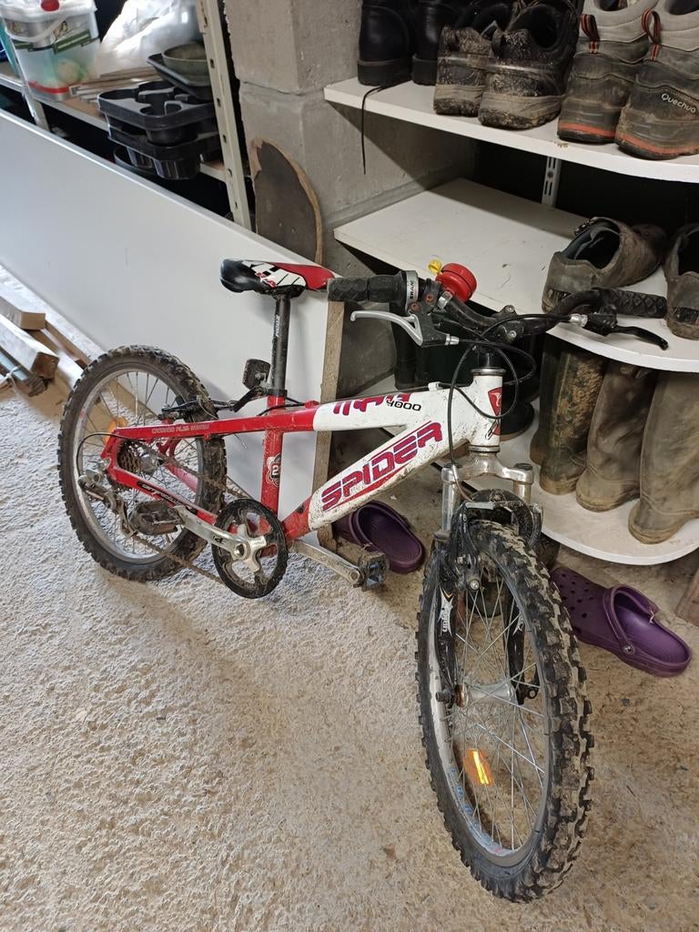 Deux vélos enfants, Enlèvement ou Envoi
