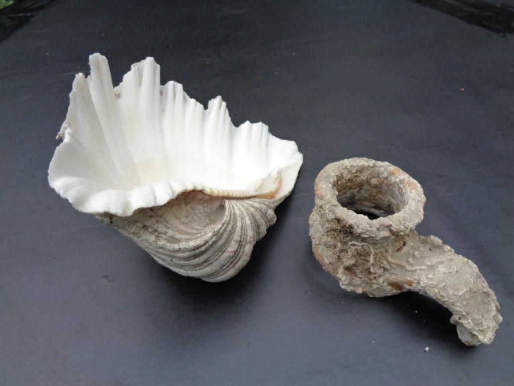 Aquarium toebehoren , originelen, Ophalen of Verzenden, Gebruikt