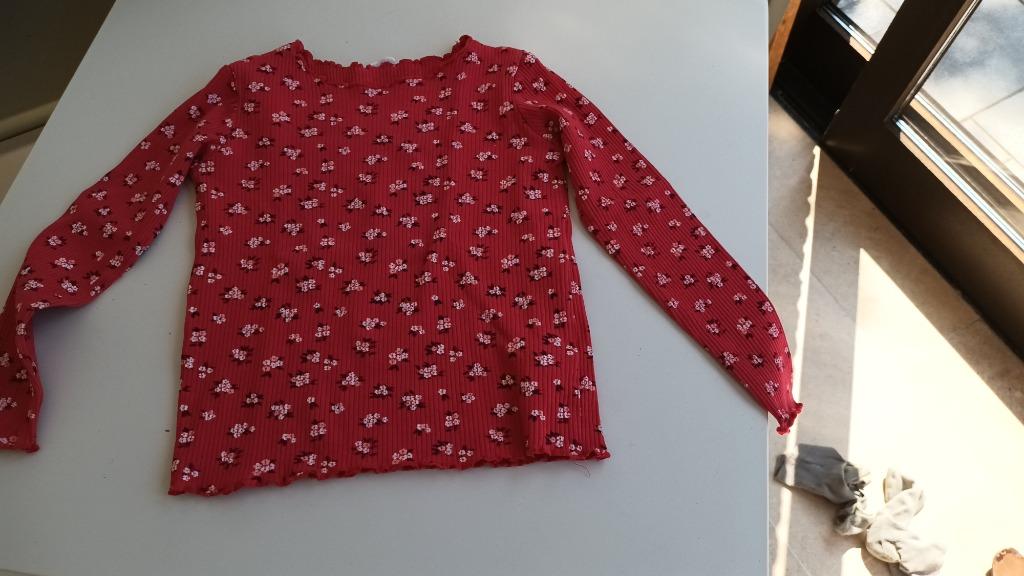 Shirtje - lange mouwen - Maat 104, Ophalen of Verzenden, Gebruikt, Meisje, Shirt of Longsleeve