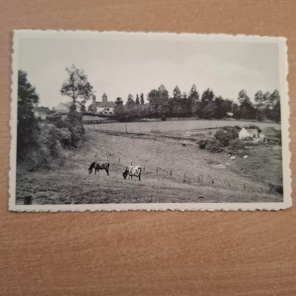Mont-Saint-Aubert, Enlèvement ou Envoi