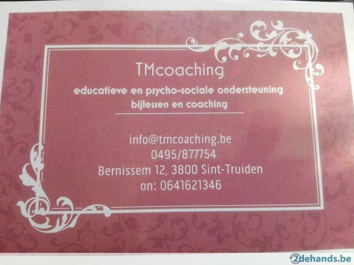 Cours particuliers de physique, de chimie et de mathématique, Cours particulier, Aide aux devoirs